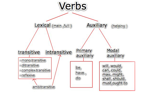 difference-between-lexical-verb-auxiliary-verb-difference-between