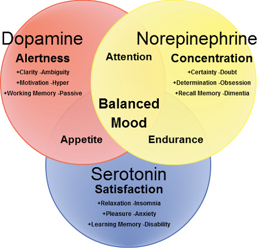 difference-between-serotonin-and-dopamine-difference-between