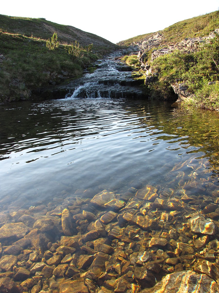 What Is The Difference Between Purified Water Spring Water And Distilled Water