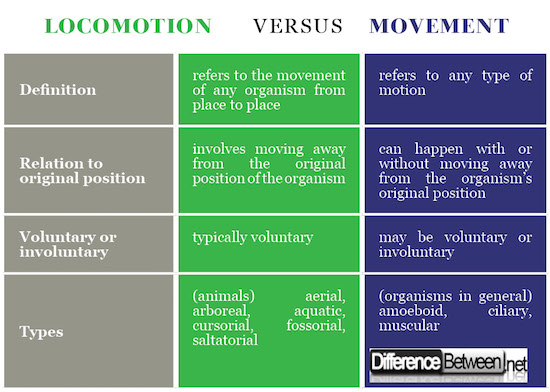 difference-between-locomotion-and-movement-difference-between