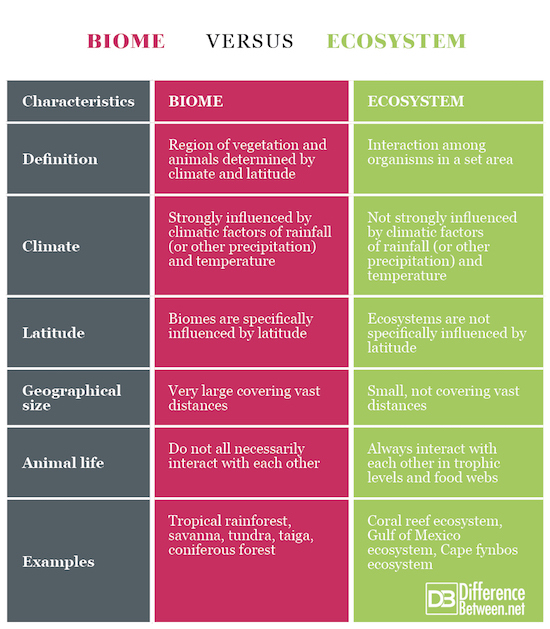 biome-versus-ecosystem-difference-between-biome-versus-ecosystem