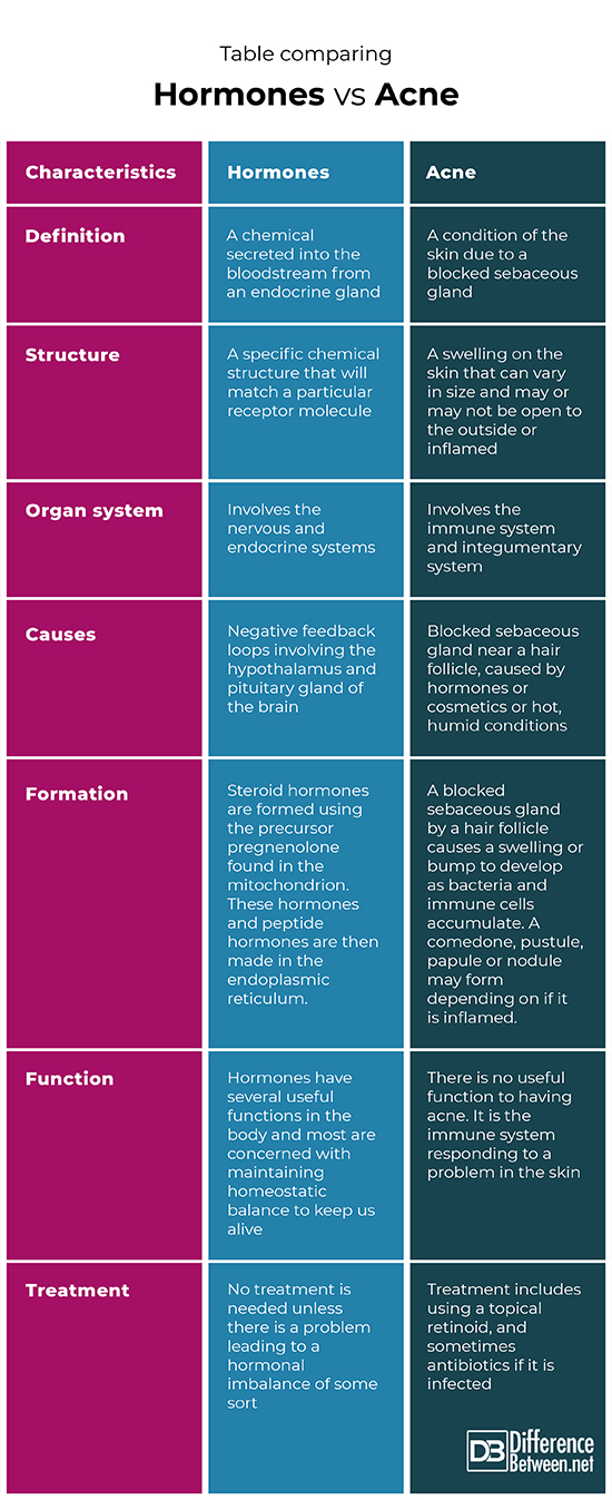 Difference Between Hormones And Acne Difference Between 4806