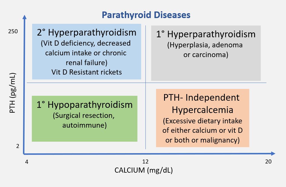 difference-between-hyperparathyroidism-and-hyperthyroidism-difference