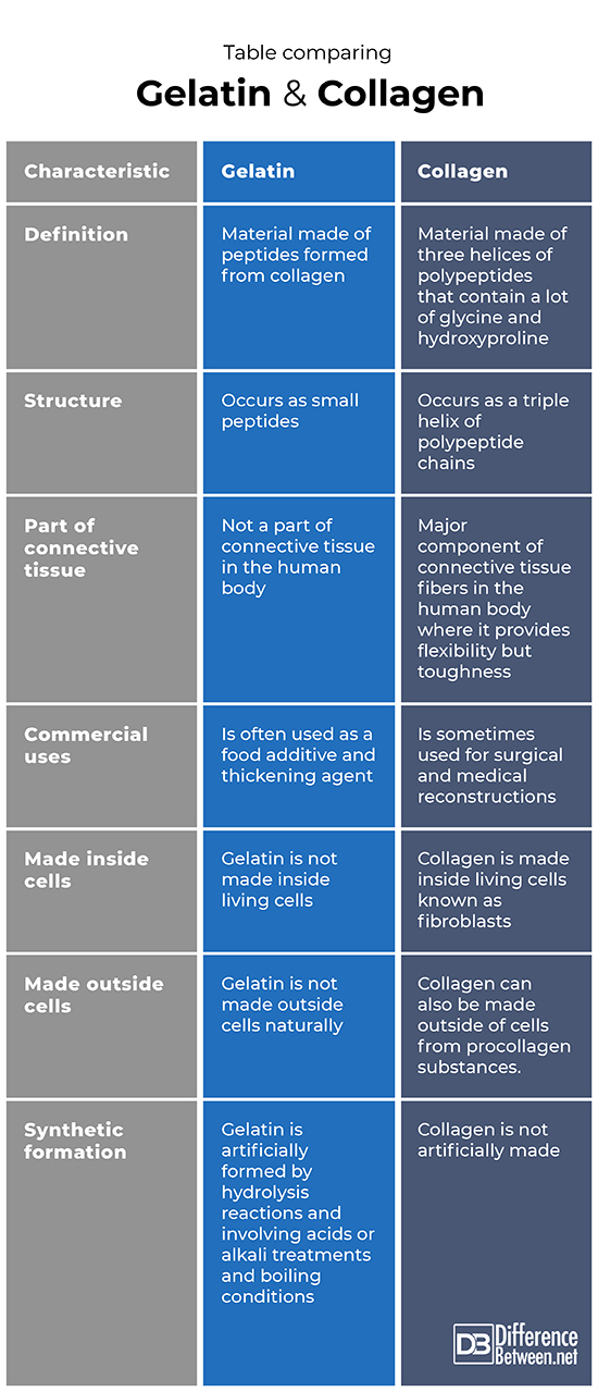 knox gelatin vs collagen