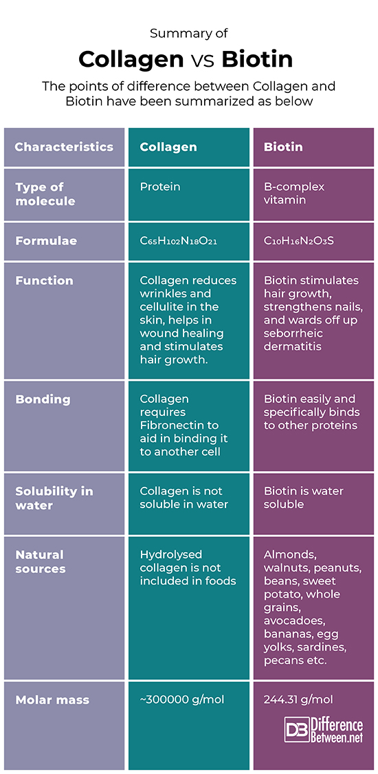 collagen vs gelatin