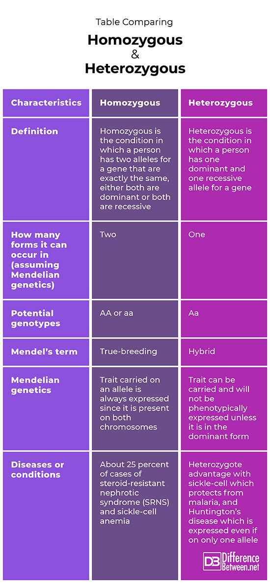 difference-between-homozygous-and-heterozygous-difference-between