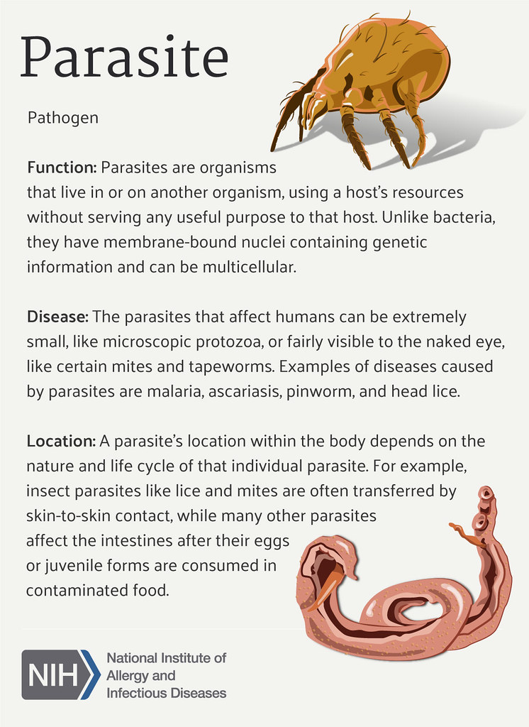 difference-between-parasite-and-host-difference-between