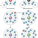 Difference Between Non-Polar and Polar Covalent Bonds