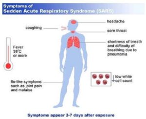 Difference between SARS and H1N1