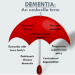 Difference between Dementia and Alzheimer's