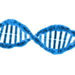 Difference Between DNA and Genetics 