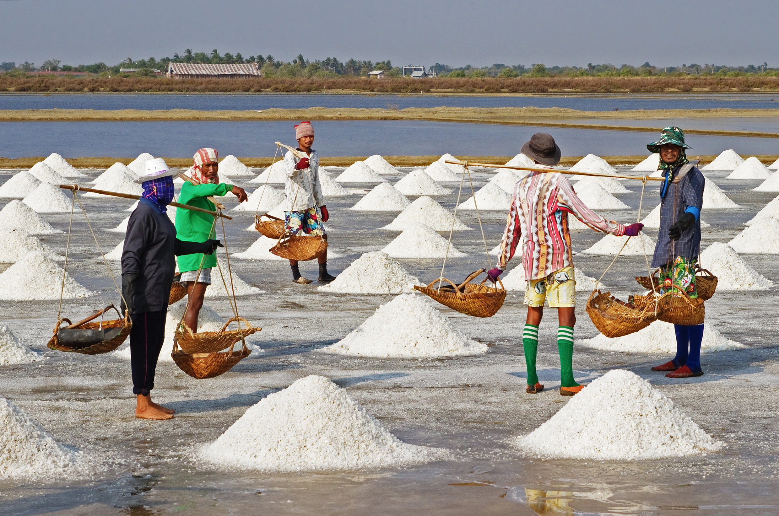 Difference Between Sea Salt and Rock Salt